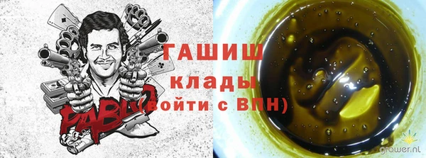 МДПВ Дмитров