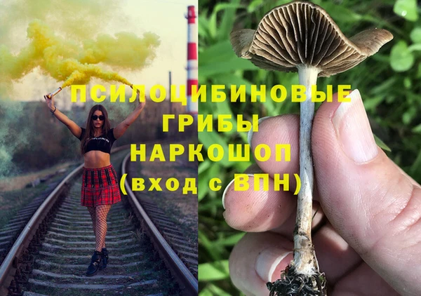 МДПВ Дмитров