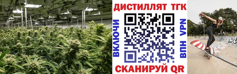 сколько стоит  Орлов  ТГК Wax 
