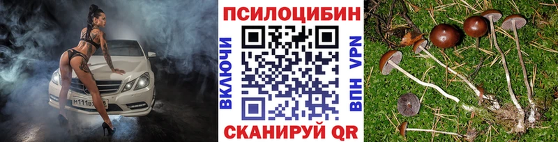 Галлюциногенные грибы ЛСД дарнет шоп Орлов
