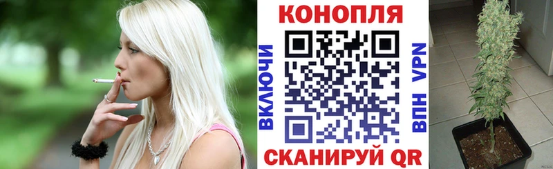Марихуана OG Kush Орлов